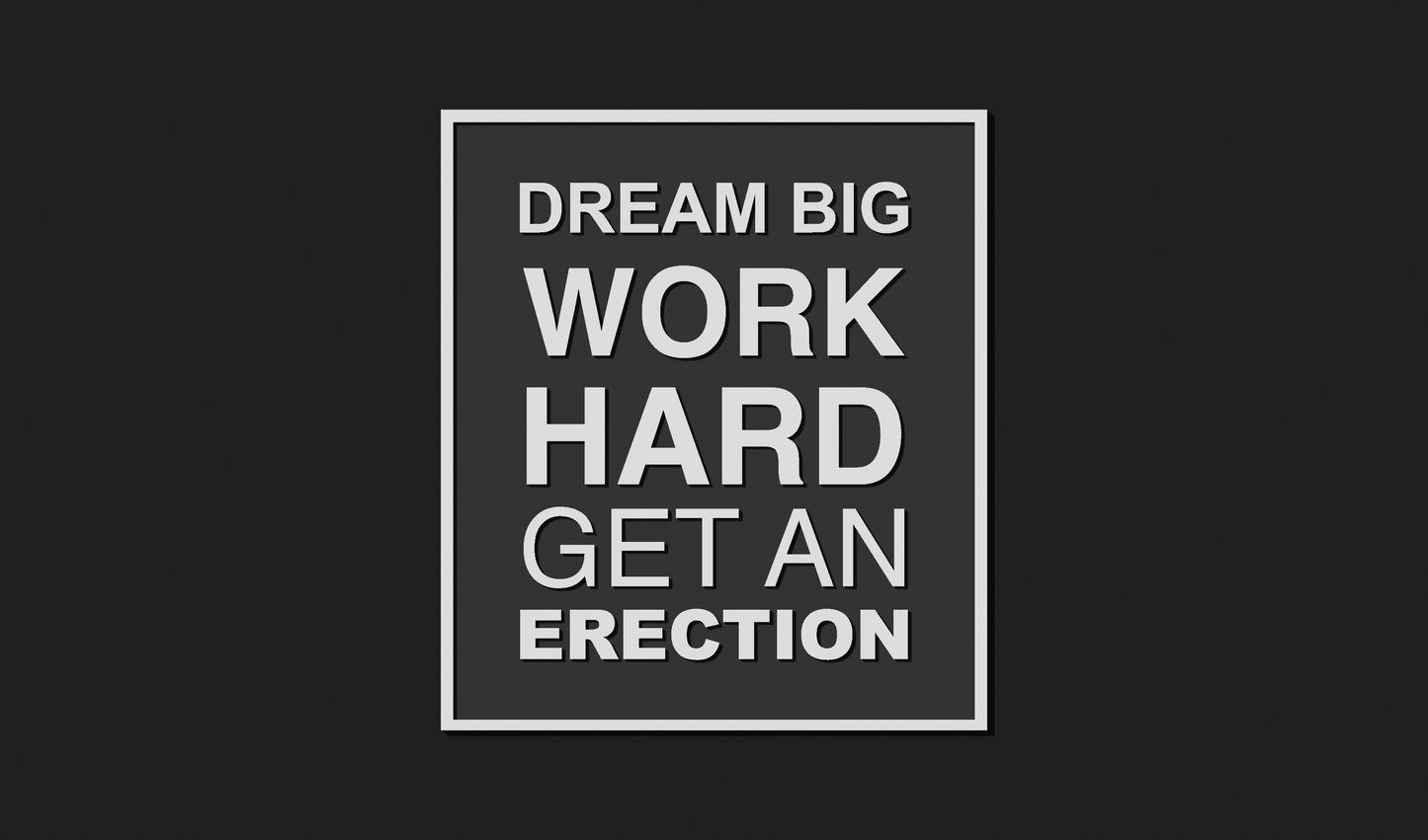 Dream Big, Work Hard, Get an Erection Decoration Plaque